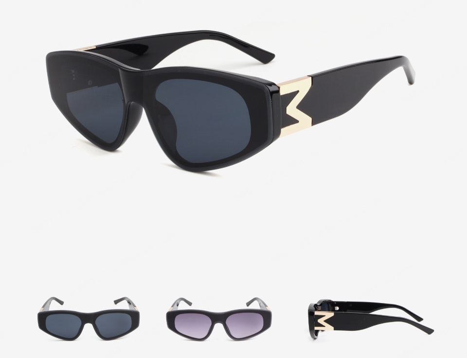 F-072 Sunglasses (Random Design)