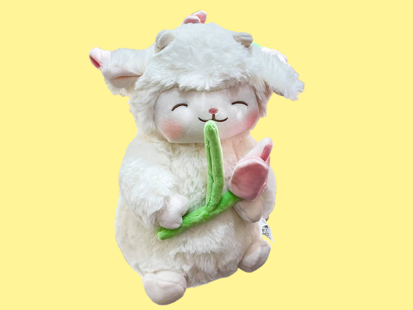 π sheep