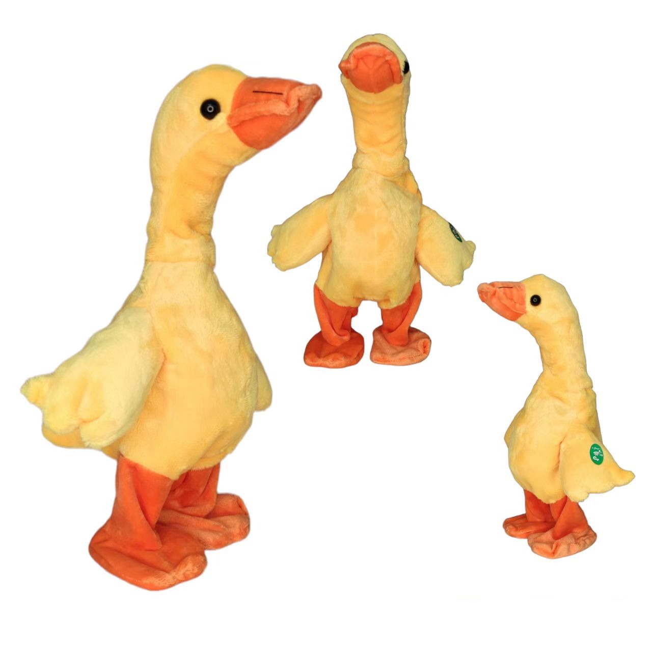Dancing Duck