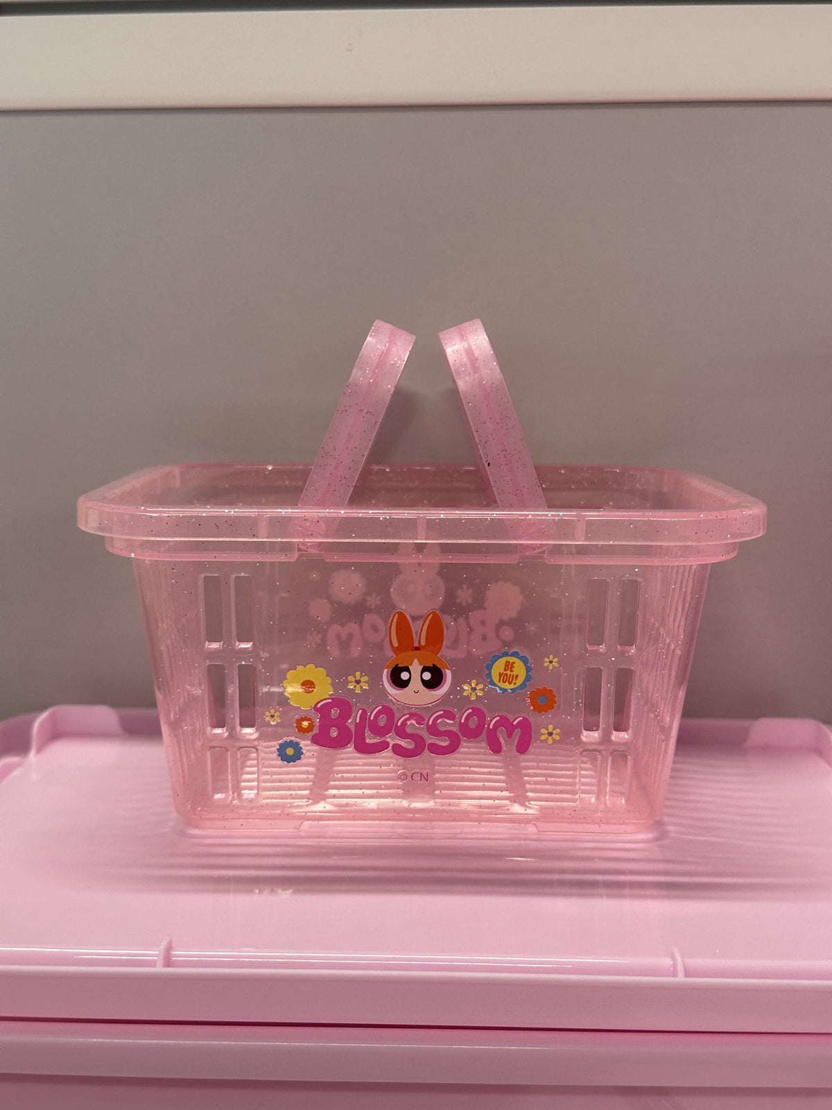 The Powerpuff Girls Collection Mini Basket with Handle (Pink)