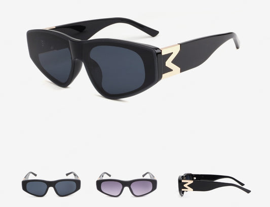 F-072 Sunglasses (Random Design)
