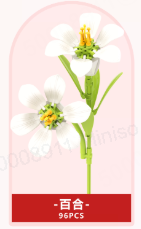Building Blocks Series(Lily)