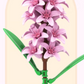 Building Blocks Series(Hyacinth)