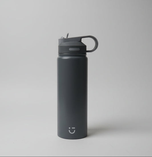 Solid Color Stainless Steel Bottle with Handle and Straw Lid (900mL)(Gray)