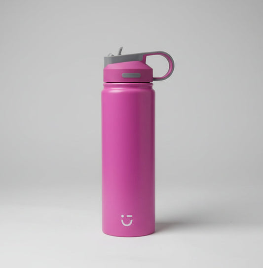 Solid Color Stainless Steel Bottle with Handle and Straw Lid (900mL)(Pink)