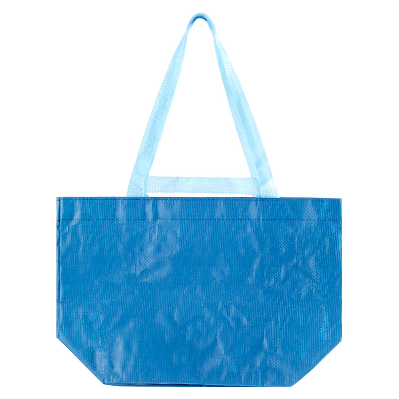 Small Woven Bag (Blue)